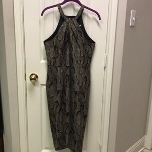 Re-posh H&M Snakeskin midi dress. Size 10